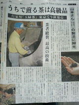 物部町・玉緑茶の記事