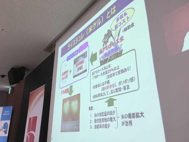 写真16 ライスジュレとは