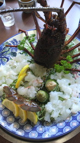 2010.9.22伊勢海老刺身