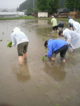 2010.6.15�Ŀ�������3