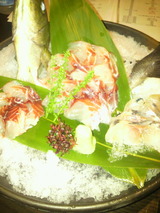 2011.8.16�ɿ�