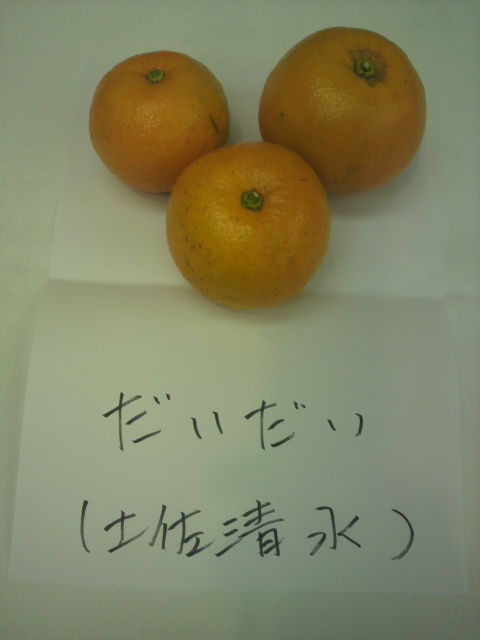 (7)ダイダイ