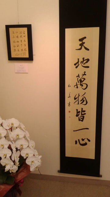 (8)��ŷ����ʪ���쿴��