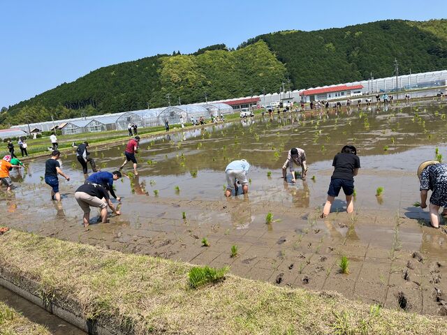 �̿�8  �Ŀ�������