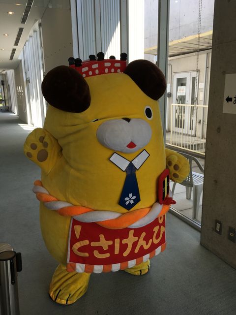 写真10 とさけんぴウインク