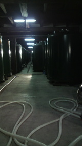 ���ͻ���������¤����¢¢