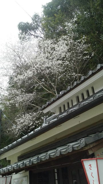 (2)�餤���夦�Τϥ��ᥤ�襷�Τ�ʤ���