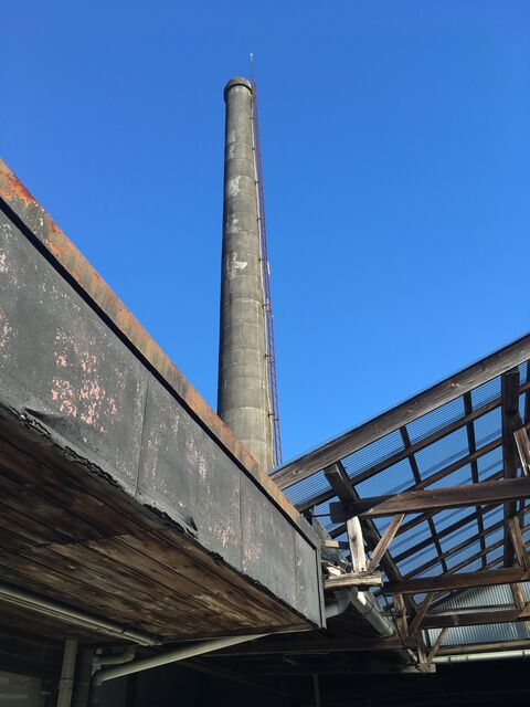 �̿�5 ����