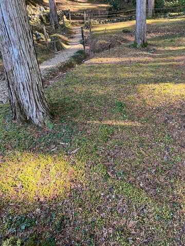 �����ȥХ����������