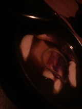 2008.9.19����