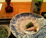 ��������¤��