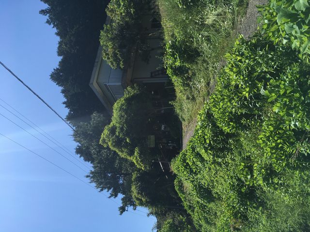 写真8 ギャラリーよしき