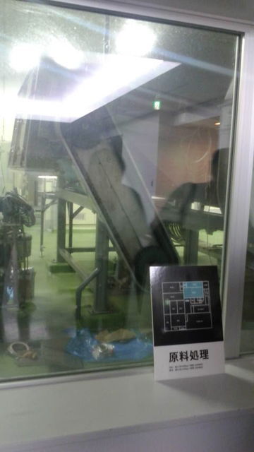 (20)�������¢����������