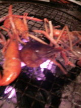 2008.2.25���