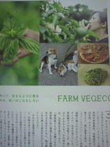 ファームベジコの記事.jpg