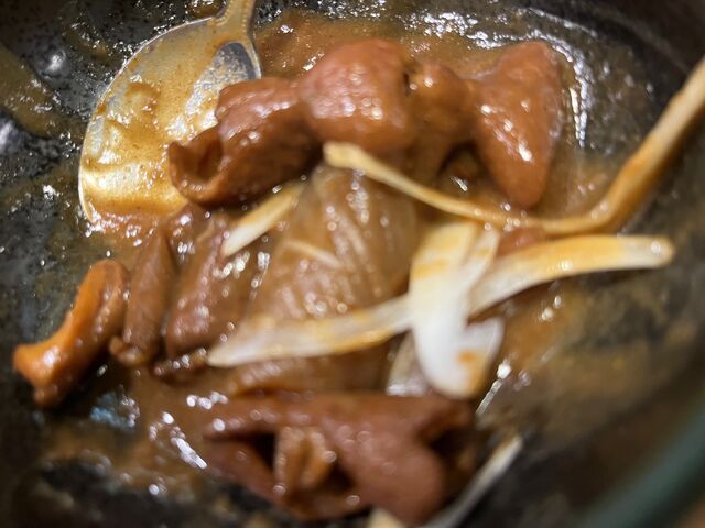 写真18 モツカレー