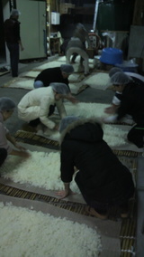 �����Ƥ򹭤���