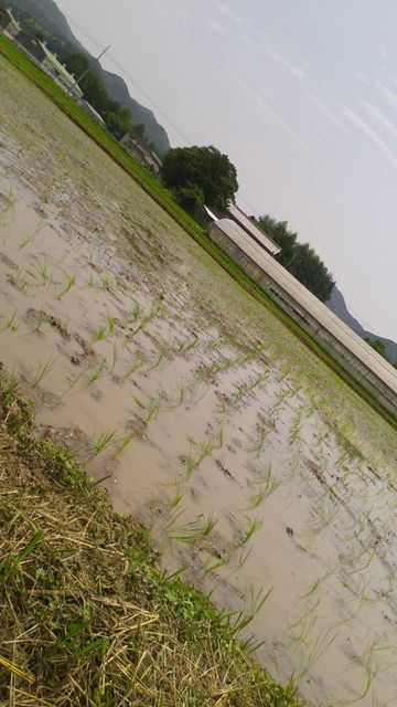 (10)�Ŀ�����λ