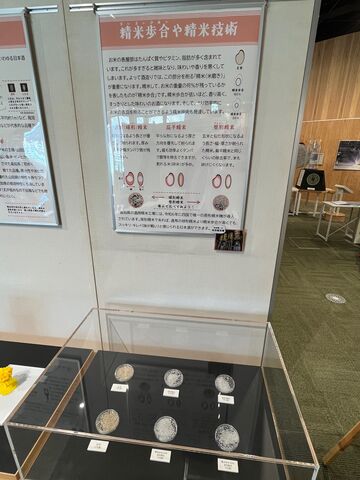 2026.2.6�̿�10  ����