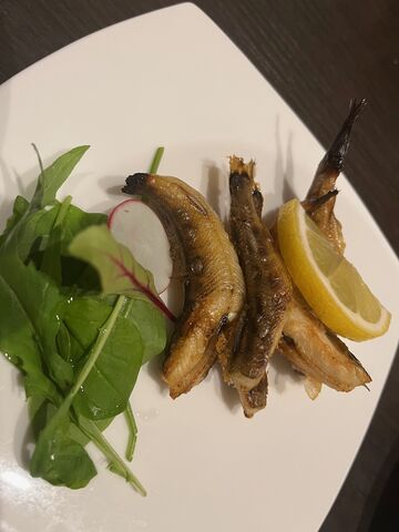 写真12 メヒカリ