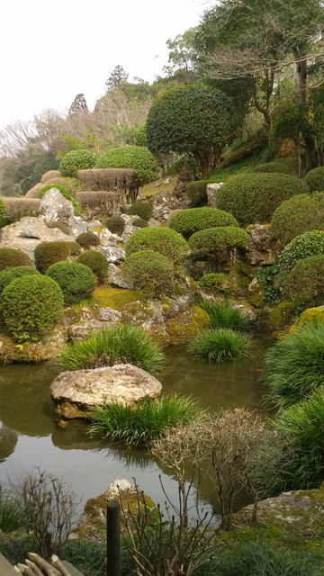 (11)青山文庫・江戸時代からの中庭