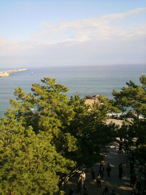 ζ������Ʊ��������į�����ʿ��