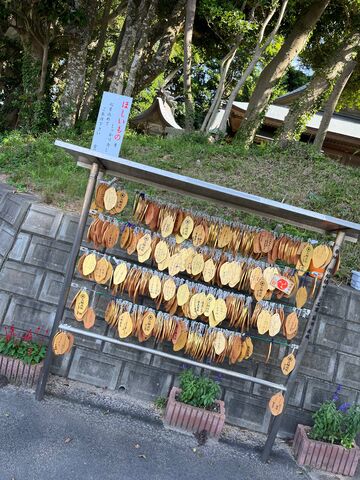 �̿�23  �ۤ�����γ���