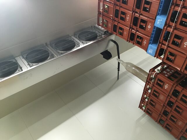 �̿�13 ����¢��