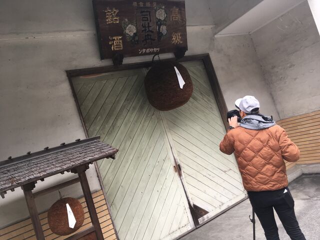 写真10 酒林撮影
