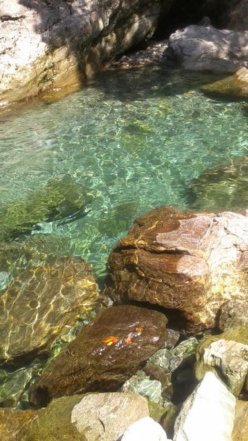 22(4)������