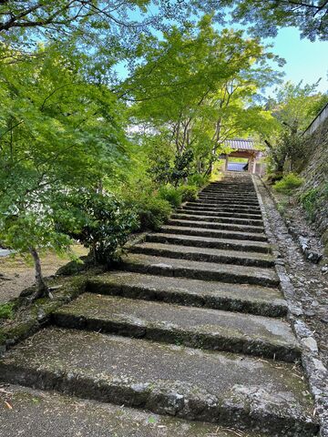 写真1 青源寺の石段