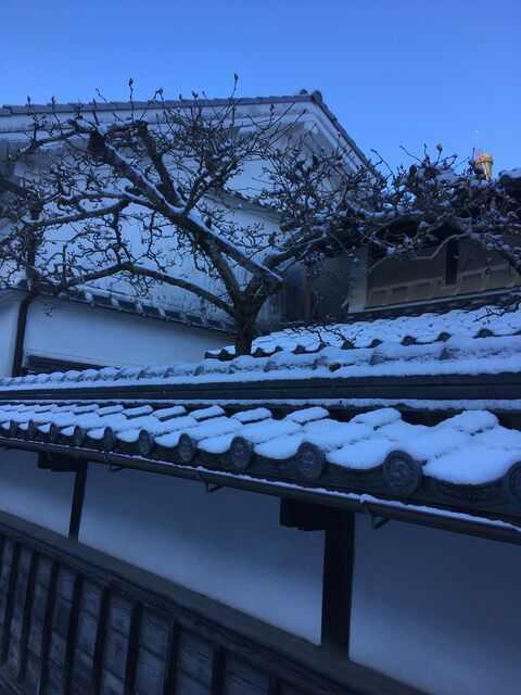 写真3 竹村本家に雪