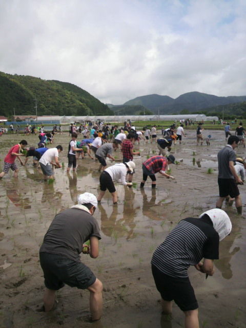 11�Ŀ�������