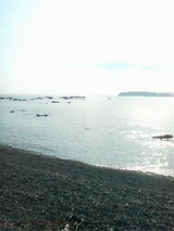 蒼い海