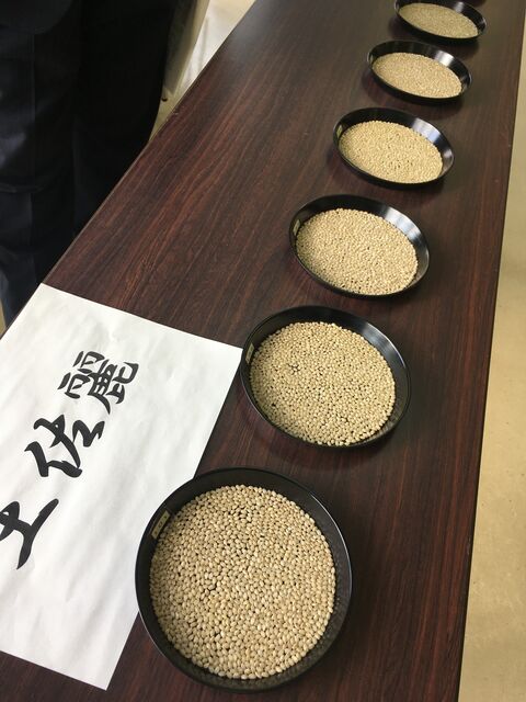 �̿�11 �ں���