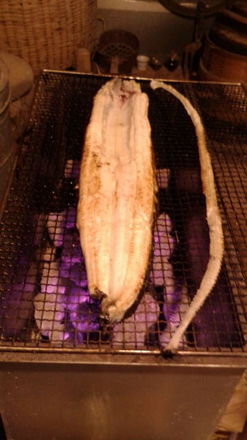 (19)�̤�ǿȤ�����夬�륦�ʥ�