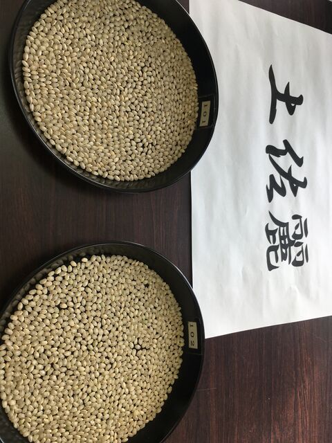 �̿�12 �ں���2