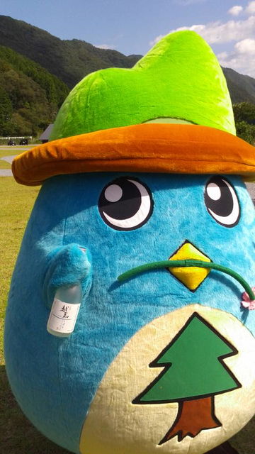 (12)�褳�������������PR