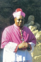 ���쥪����ʶ��ɲ�