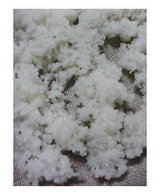 �����ι���