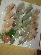 恵比寿鯛寿司.jpg