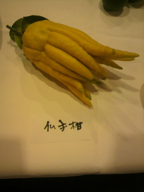 ʩ�괻(��֥��奫��)