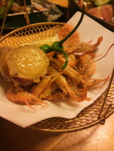 2011.11.23������Ȥ�