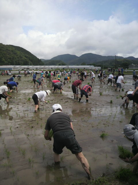 11�Ŀ�������2