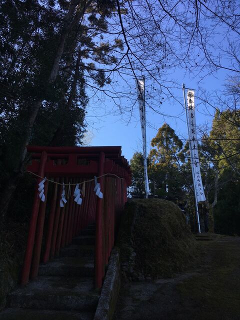 �̿�1 �����ܿ���