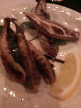 2008.9.25��ҥ���