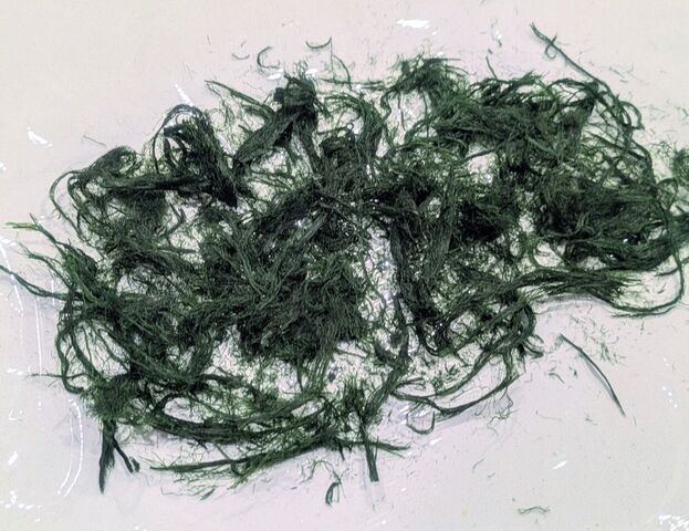 �̿�3  ���������Υ�