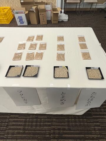 �̿�4  �ե��ҥ��ꡢ�Ȥ�᤭�������Ϥ뤫