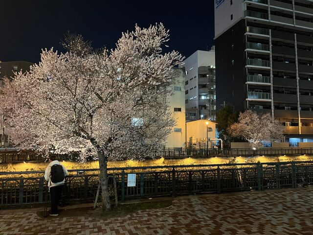 �̿�30  �͵����ָ�