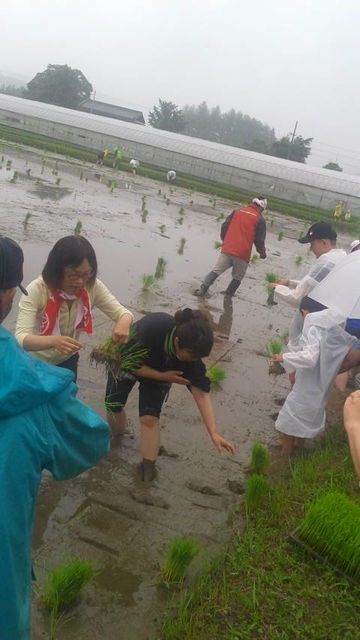 2018.6.15(5)田植えスタート